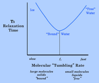 T1 and T2 relaxation; dipole-dipole interaction