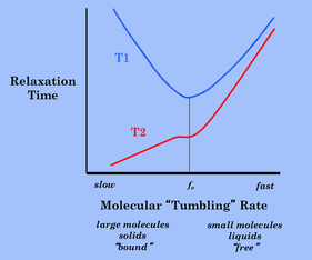 T1 and T2 relaxation times NMR