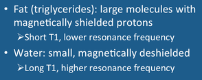 Fat and water MRI