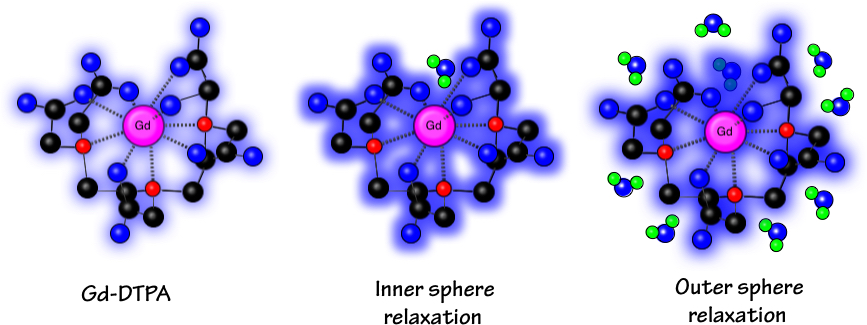inner and outer sphere relaxation