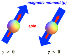 gyromagnetic ratio