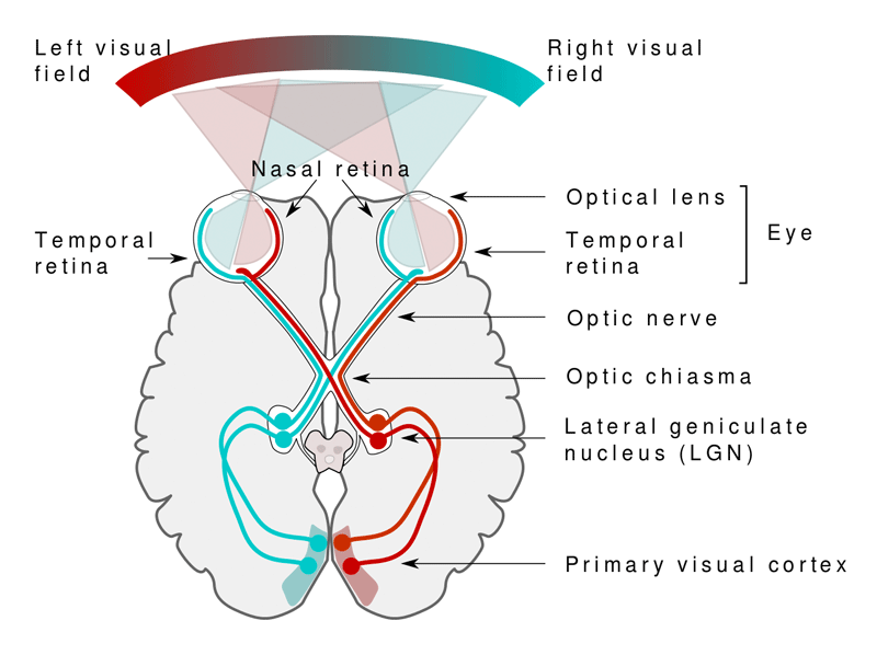 Magnetism - Questions and Answers in MRI