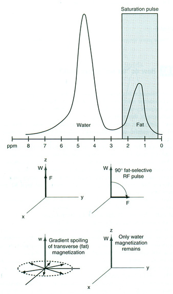 CHESS/Fat-Sat Pulses