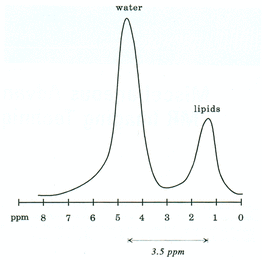 fat-water chemical shift