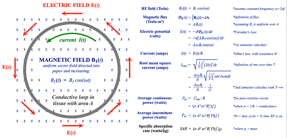 Derivation of SAR equation